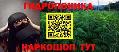 гидра Пыть-Ях